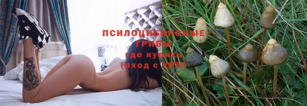 jwh Кукмор