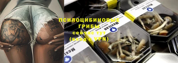 твердый Куйбышев