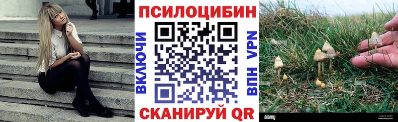 Псилоцибиновые грибы мицелий  Кохма 