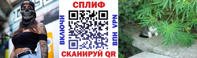 Канабис SATIVA & INDICA MEGA рабочий сайт Кохма
